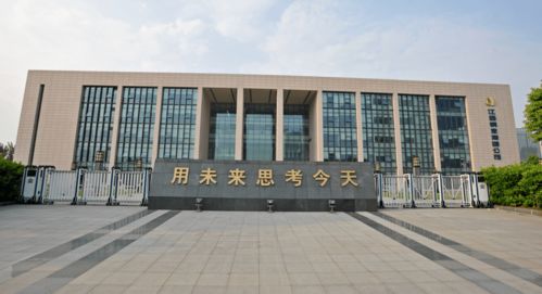 高质量发展勇担当，高新区软件开发引领创新浪潮